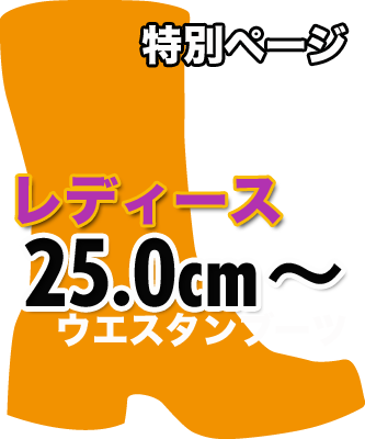 ���f�B�[�X�傫�߃T�C�Y�E�G�X�^���u�[�c